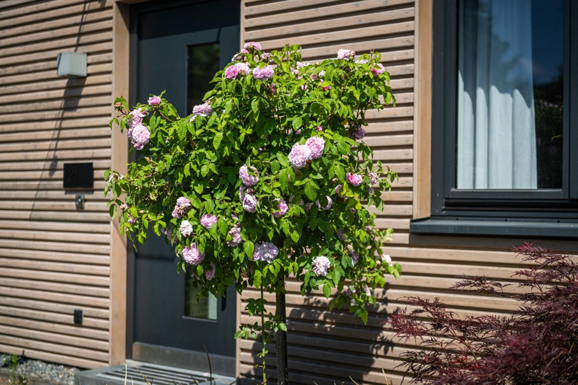Deine Genuss-Auszeit Villa Asendorf Exterior photo